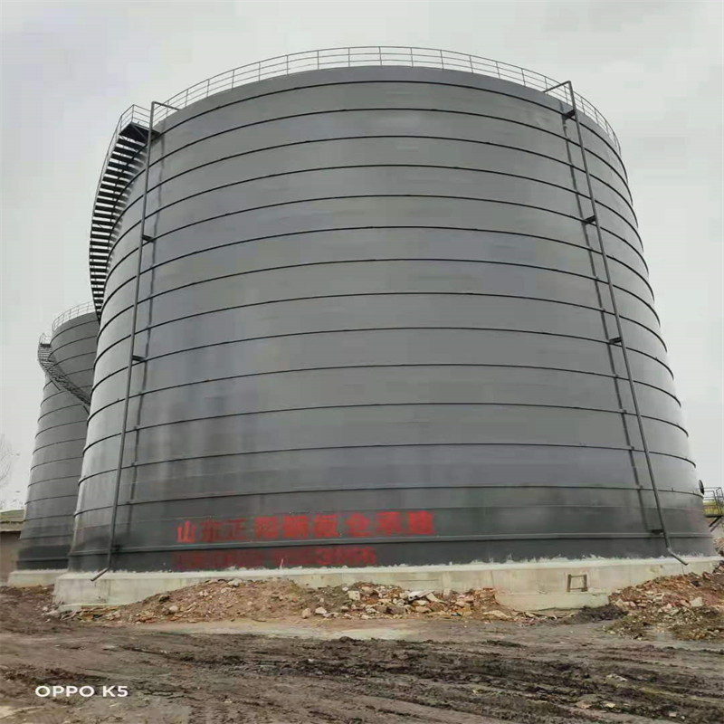 津南3万吨大型钢板库