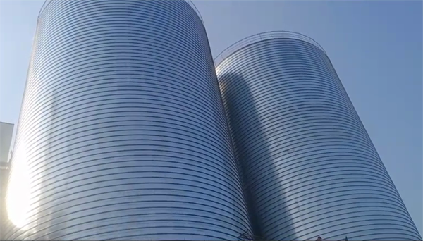 津南2座混凝土高架卷板仓